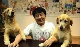 娱乐吃瓜酱大哥爱小狗,娱乐吃瓜酱大哥与小狗的温馨日常